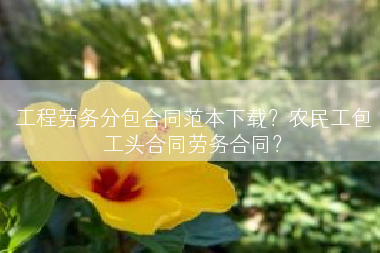 工程劳务分包合同范本下载？农民工包工头合同劳务合同？