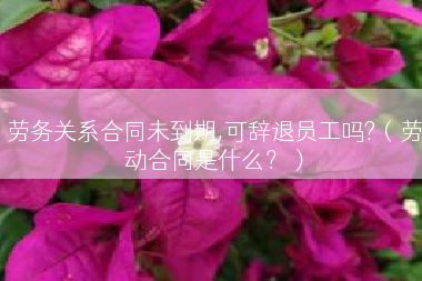 劳务关系合同未到期,可辞退员工吗?（劳动合同是什么？）