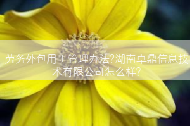 劳务外包用工管理办法?湖南卓鼎信息技术有限公司怎么样?