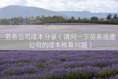 劳务公司成本分录（请问一下劳务派遣公司的成本核算问题）