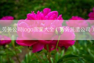 劳务公司logo图案大全（劳务派遣公司）