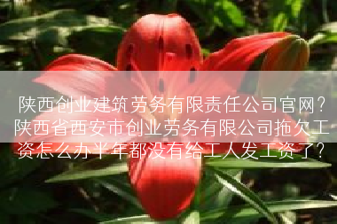 陕西创业建筑劳务有限责任公司官网？陕西省西安市创业劳务有限公司拖欠工资怎么办半年都没有给工人发工资了？