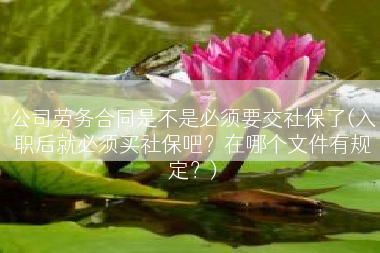 公司劳务合同是不是必须要交社保了(入职后就必须买社保吧？在哪个文件有规定？)