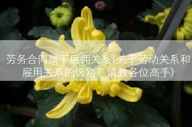 劳务合同属于雇佣关系(关于劳动关系和雇用关系的区别？请教各位高手)