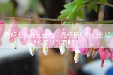 昆明劳务外包价格（昆明最好的劳务派遣公司是哪家啊？）