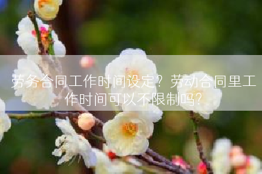 劳务合同工作时间设定？劳动合同里工作时间可以不限制吗？