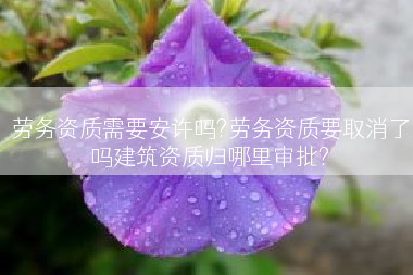 劳务资质需要安许吗?劳务资质要取消了吗建筑资质归哪里审批?