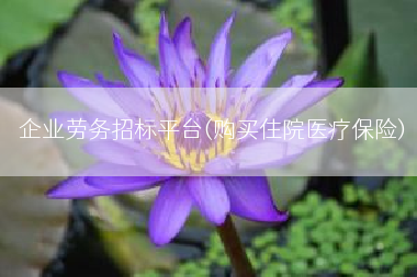 企业劳务招标平台(购买住院医疗保险)