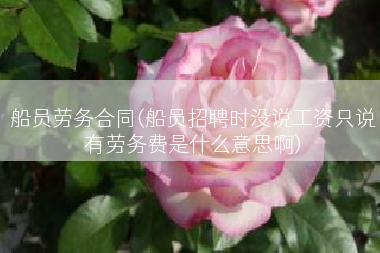 船员劳务合同(船员招聘时没说工资只说有劳务费是什么意思啊)