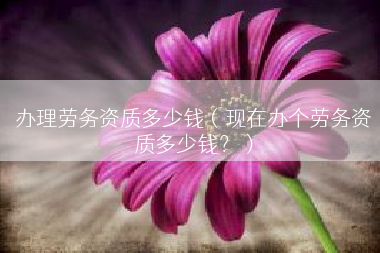 办理劳务资质多少钱（现在办个劳务资质多少钱？）