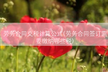 劳务合同交税计算公式(劳务合同签订需要缴纳哪些税)