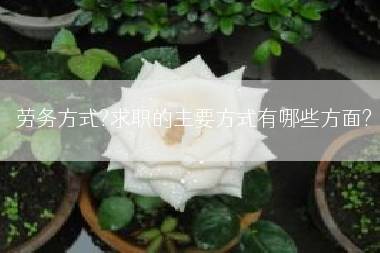 劳务方式?求职的主要方式有哪些方面?