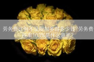 劳务费比例不设限制多得多少钱?劳务费税率103%是什么意思?