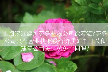 上海汉江建筑劳务有限公司徐若海?劳务公司只有营业执照没有资质证书可以和建筑公司签订劳务合同吗?