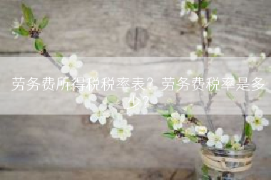 劳务费所得税税率表？劳务费税率是多少？