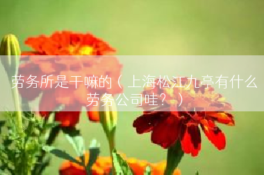 劳务所是干嘛的（上海松江九亭有什么劳务公司哇？）