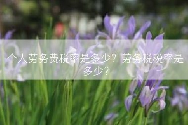 个人劳务费税率是多少？劳务税税率是多少？