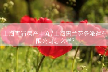 上海青浦房产中介?上海惠兰劳务派遣有限公司怎么样?