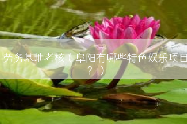 劳务基地考核（阜阳有哪些特色娱乐项目？）