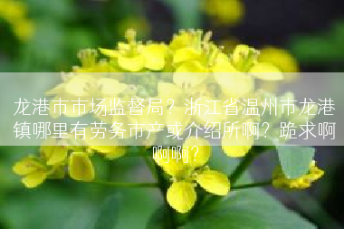 龙港市市场监督局？浙江省温州市龙港镇哪里有劳务市产或介绍所啊？跪求啊啊啊？