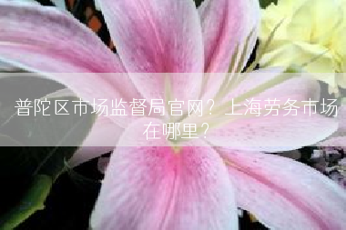 普陀区市场监督局官网？上海劳务市场在哪里？