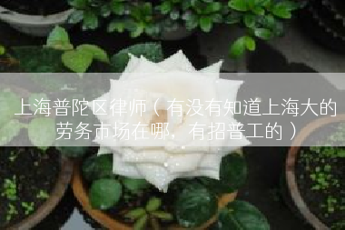 上海普陀区律师（有没有知道上海大的劳务市场在哪，有招普工的）