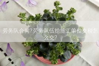 劳务队合同?劳务队伍给施工单位交税怎么交?