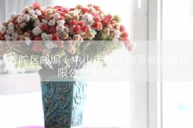 普陀区邮编（中山市玖玖捌劳务派遣有限公司怎么样？）