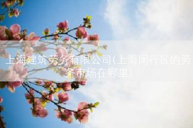 上海建筑劳务有限公司(上海闵行区的劳务市场在哪里)