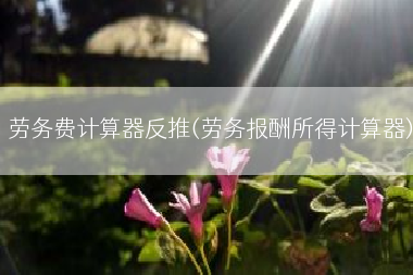 劳务费计算器反推(劳务报酬所得计算器)