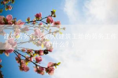 建筑劳务行业现状(建筑工地的劳务工作都什么？)