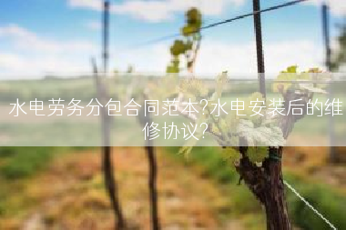 水电劳务分包合同范本?水电安装后的维修协议?