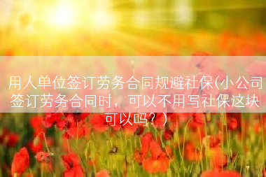 用人单位签订劳务合同规避社保(小公司签订劳务合同时，可以不用写社保这块可以吗？)