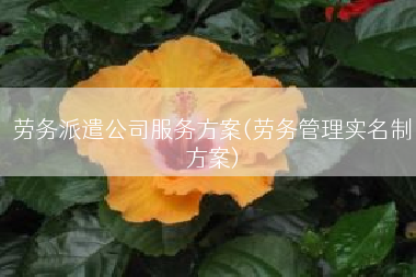劳务派遣公司服务方案(劳务管理实名制方案)