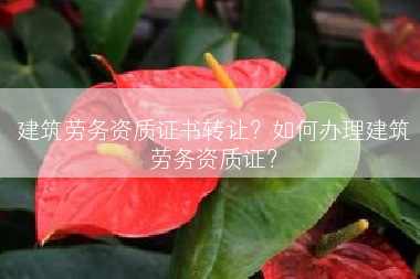 建筑劳务资质证书转让？如何办理建筑劳务资质证？