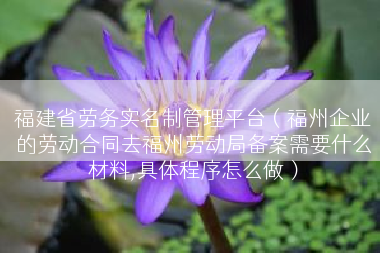 福建省劳务实名制管理平台（福州企业的劳动合同去福州劳动局备案需要什么材料,具体程序怎么做）