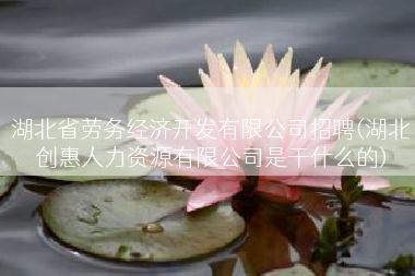 湖北省劳务经济开发有限公司招聘(湖北创惠人力资源有限公司是干什么的)