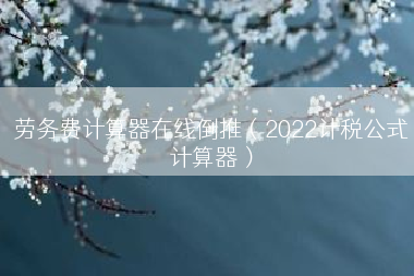 劳务费计算器在线倒推（2022计税公式计算器）
