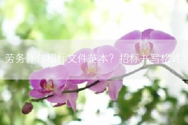 劳务外包招标文件范本？招标书写格式？