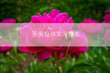 劳务公司实习报告