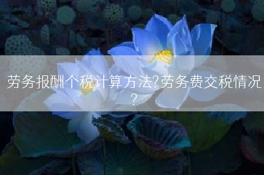 劳务报酬个税计算方法?劳务费交税情况?