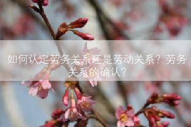 如何认定劳务关系还是劳动关系？劳务关系的确认？