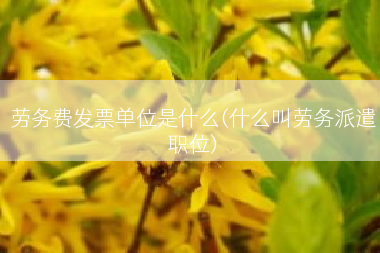 劳务费发票单位是什么(什么叫劳务派遣职位)