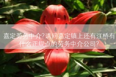 嘉定劳务中介?请问嘉定镇上还有江桥有什么正规点的劳务中介公司?