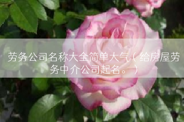 劳务公司名称大全简单大气（给房屋劳务中介公司起名。）