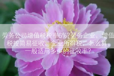 劳务公司增值税税率6%?劳务企业，增值税按简易征收，企业所得税，怎么算，一般适用多少的征收率?