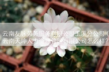 云南友脉劳务服务有限公司玉溪分公司（云南天坤人力资源管理有限公司怎么样？）
