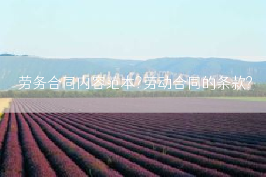 劳务合同内容范本?劳动合同的条款?