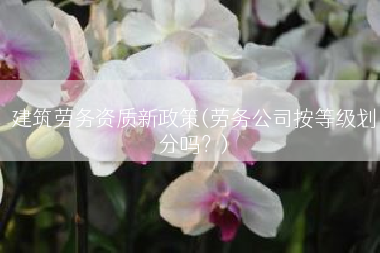 建筑劳务资质新政策(劳务公司按等级划分吗？)