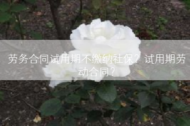 劳务合同试用期不缴纳社保？试用期劳动合同？